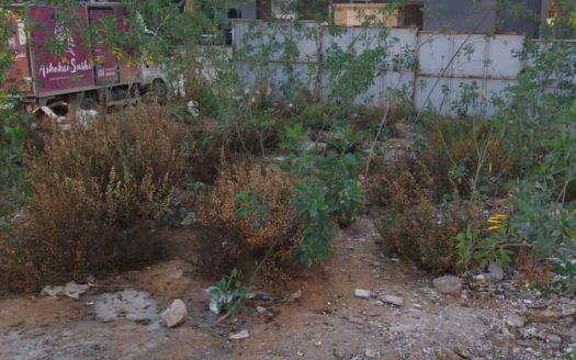 TERRAIN R+3 À VENDRE, Dar Bouazza Chlihat